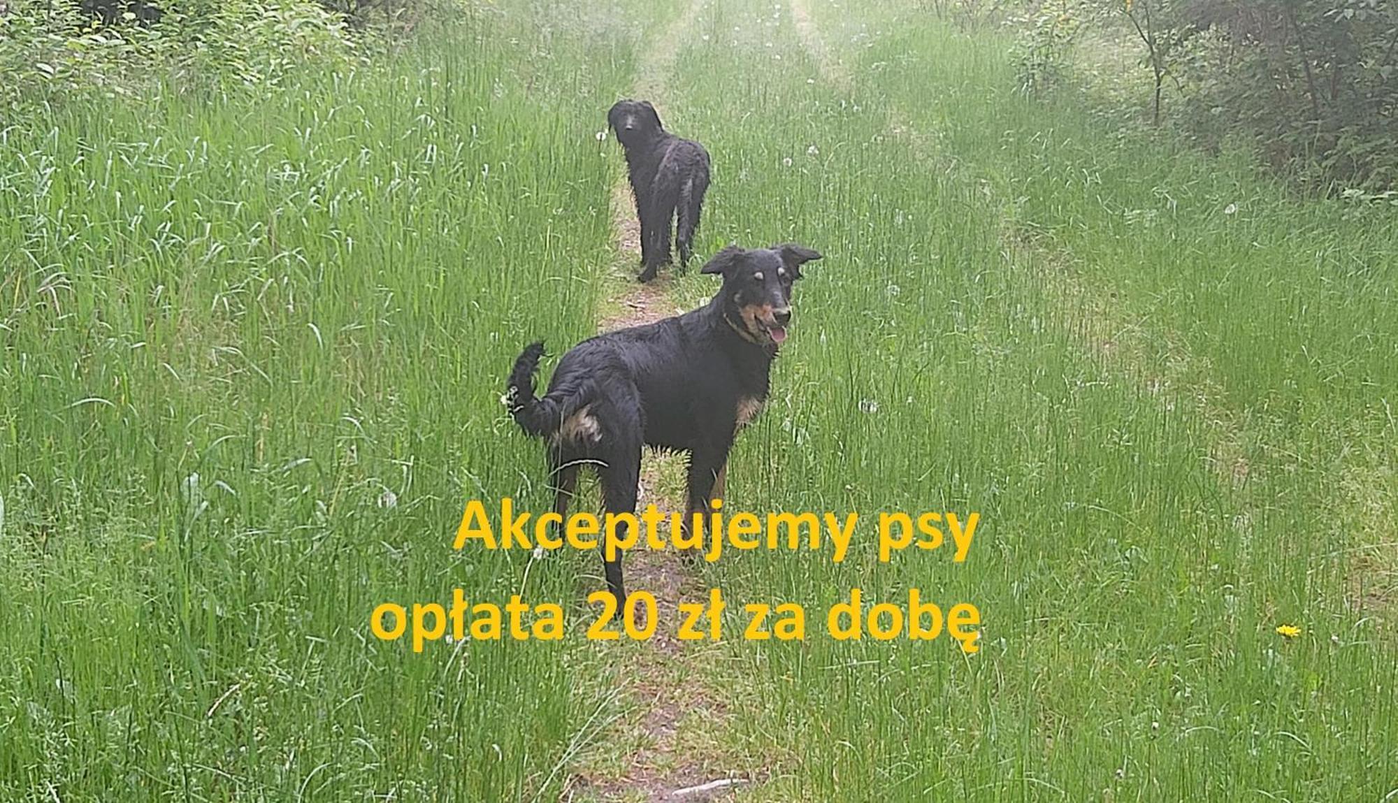 Kacper *